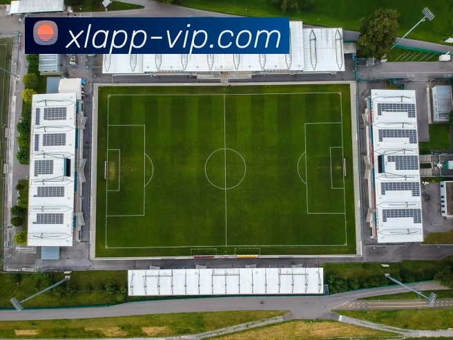 新浪体育 - 打造受球迷信赖的综合体育新闻资讯互动平台平台生态图